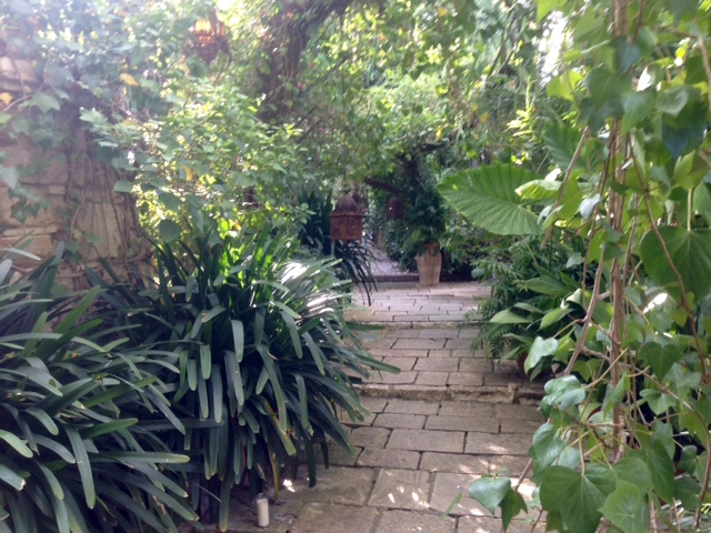 FullSizeRender kopia