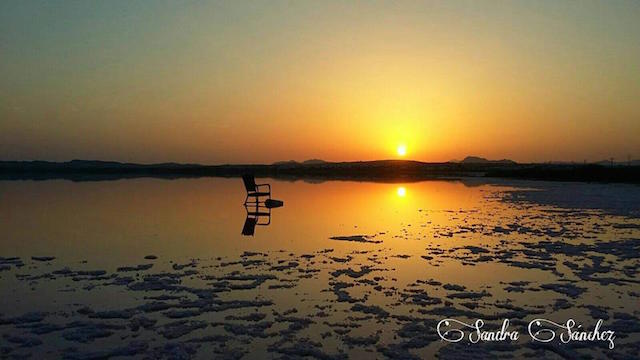 13516720_1296664360363639_888884374972273699_n