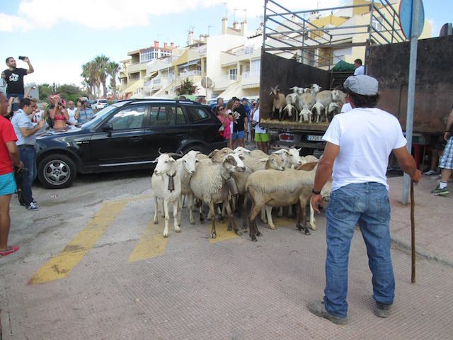 13934683_10153904591553403_8206949195563360623_n