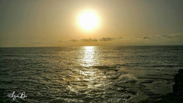 13939325_1342187972477944_577113911387109665_n