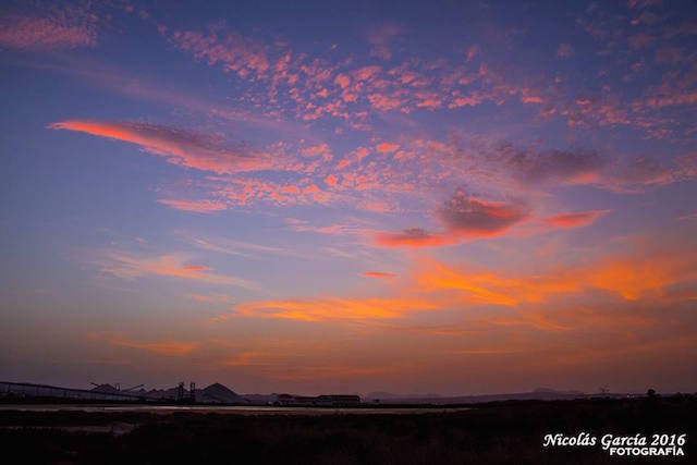 14055101_1333090650054343_6009385197130506527_n