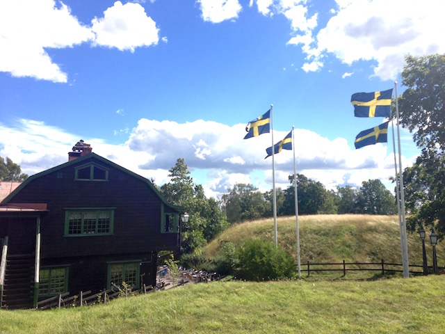 FullSizeRender-14 kopia