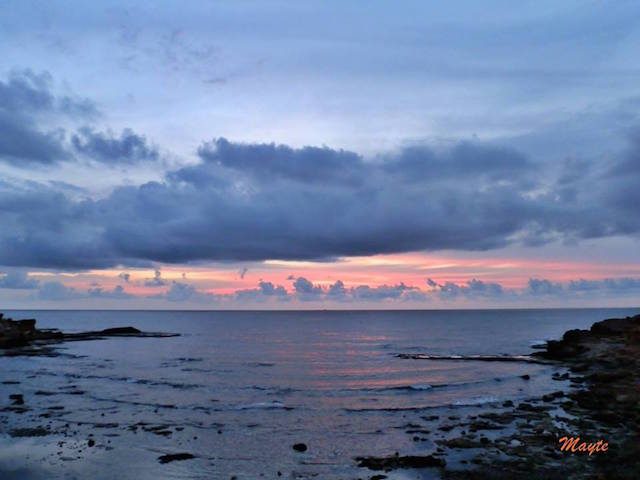 14390802_1372450322785042_898229236145339142_n