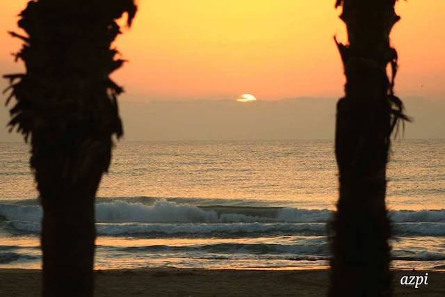 14470472_1382699801760094_8430955304465461884_n