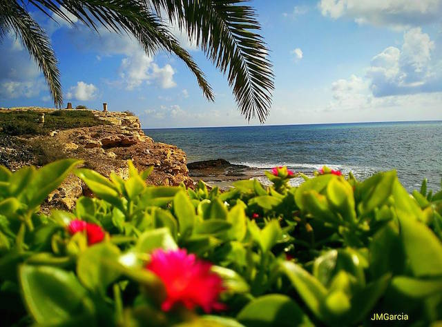 14573039_1405916956105045_3317859801158808929_n