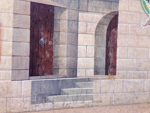 fullsizerender6-kopia