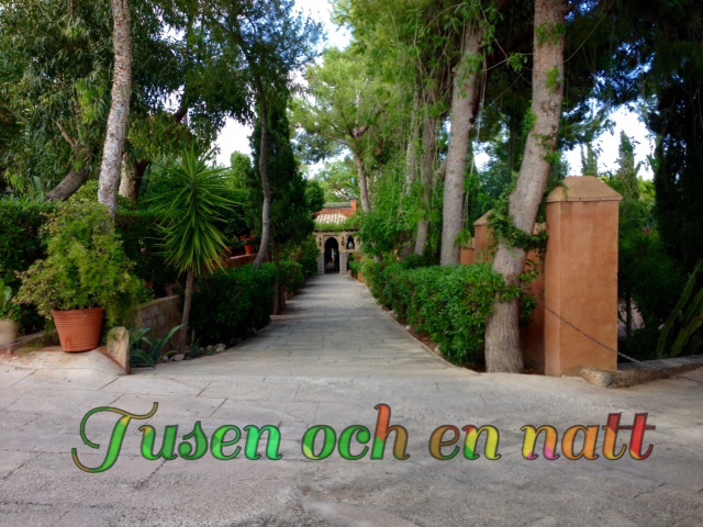 penultimatefullsizerender-kopia1