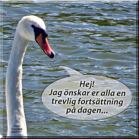 14563360_1176351549088888_695822876933706735_n