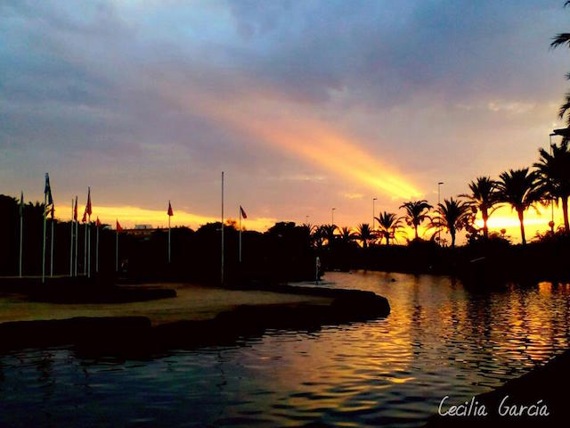 14900522_1411661575530583_8099151979832267733_n