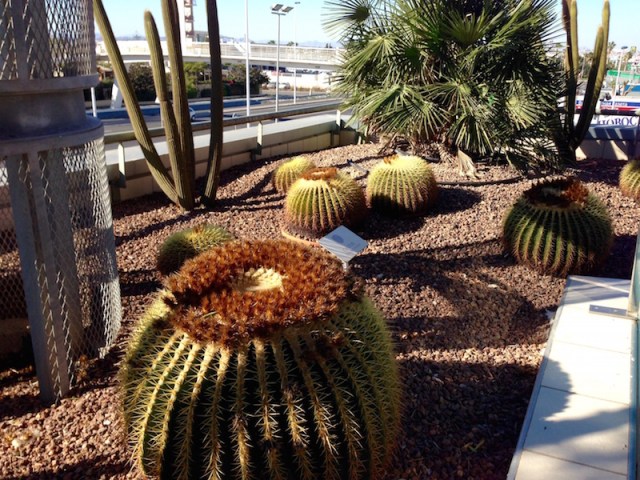 fullsizerender-kopia-2