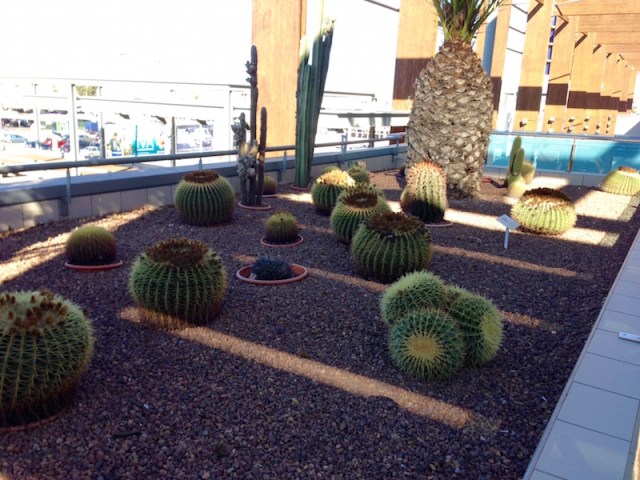 fullsizerender3-kopia