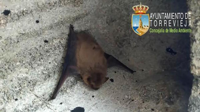 xsin_titulo-1_4-jpg-pagespeed-ic-qzrqd7v7lf