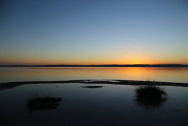 15665537_1474558855907521_3781084029329475909_n