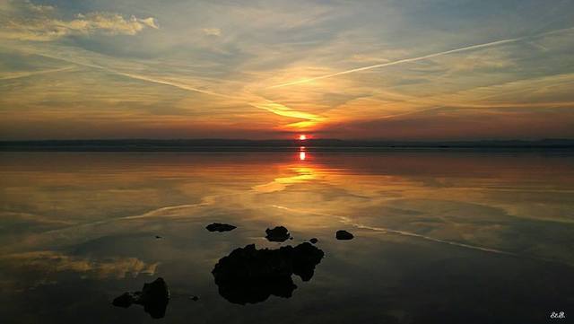 15823042_1492273404136066_1971502798098454943_n