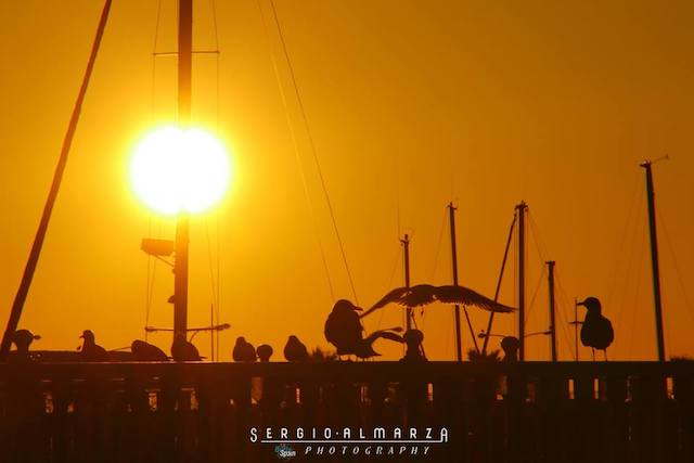 15823217_1494633017233438_7259385393324675978_n