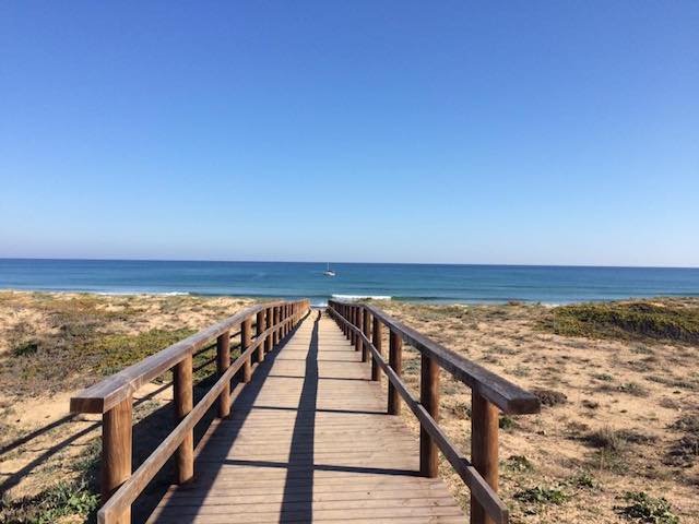 15873479_1201813063199893_3681570550732546503_n