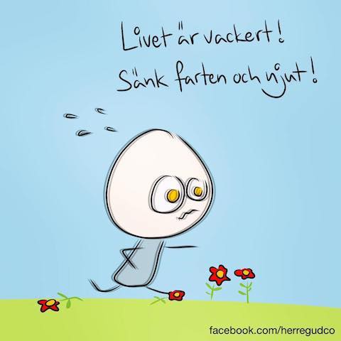 15977385_883113818497031_7068951821245400330_n