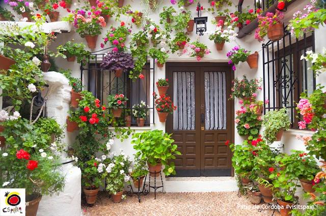 16142221_1394451250626528_4172502792197046214_n