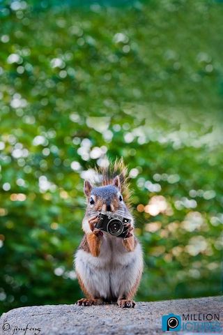 16251597_1853315358098739_6690603544762317470_o