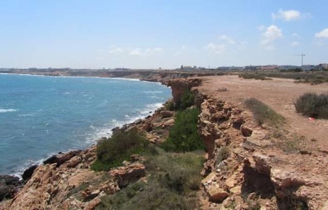 xcala_mosca-jpg-pagespeed-ic-4uaicimxkq