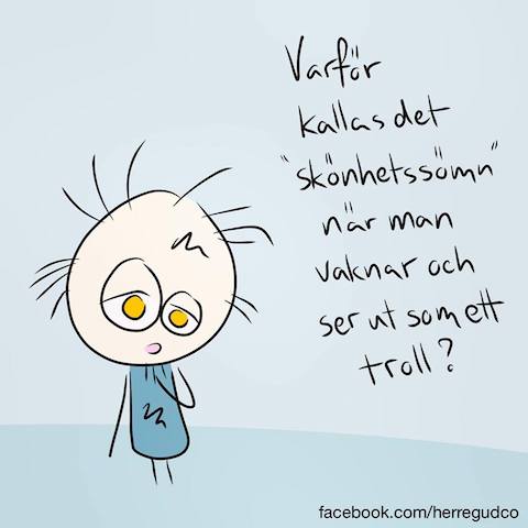 16649214_904451589696587_7351858595457314955_n