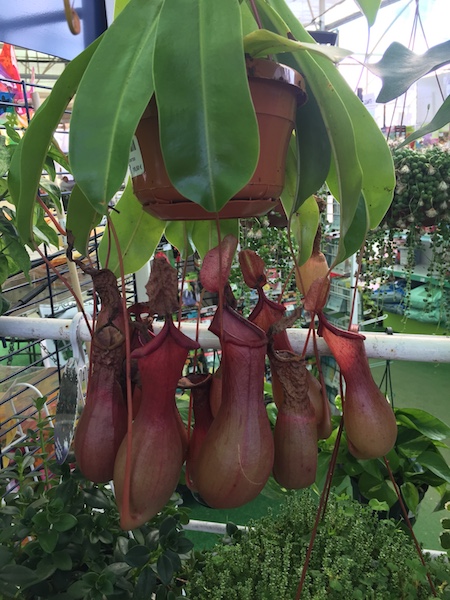 ab5dd2c4-1d1b-4a29-8c39-5b3ae8e2c645-kopia