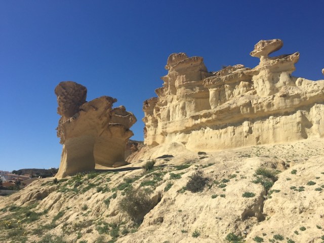 EF356B6C-C618-4F1A-A669-5BB492722848 kopia