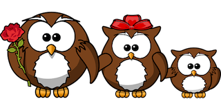 owl-158418__3401