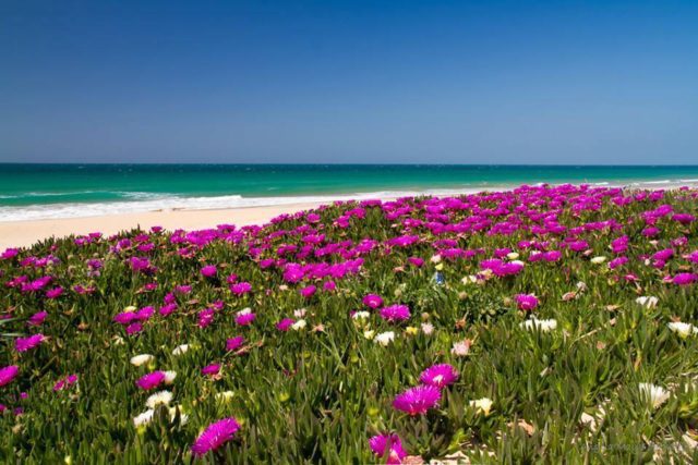 springtime_spain-640x427