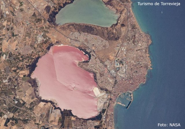 17554560_1273798229334709_8968000933573394305_n