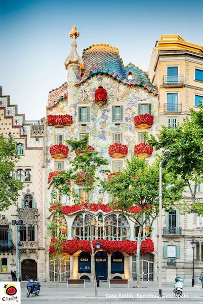 18055863_10154816415363962_5478194064068031800_o