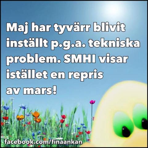 18301655_1347271555365427_4070623052145810028_n