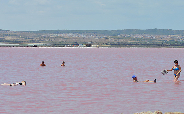 L3Rvb2xzL3Bob3RvYWxidW1fdmlldy9zcGFuaWEvaW1nLzc2MzUvbWVkaXVtMS83NjM1MjQuanBnL0Nyb3AvP3g9MCZ5PTAmd2lkdGg9NTY3JmhlaWdodD0zNTA